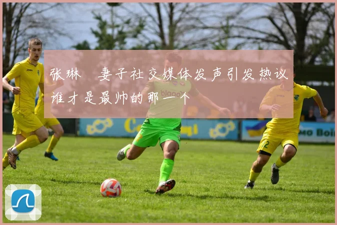 张琳芃妻子社交媒体发声引发热议谁才是最帅的那一个